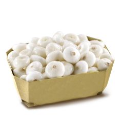 3778_z_cipolline-borettane