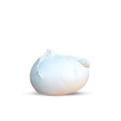 mozzarella-spezzata-a-mano_1_