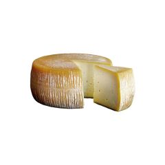 nuovo_progetto_-_2024-01-04t174825