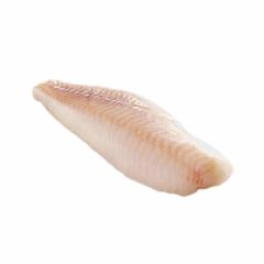 nuovo_progetto_-_2024-01-29t125956