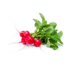 ortoartigianale-radici-felici-ravanelli